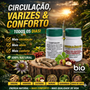 Castanha Indiana Original 30 Caps Suplemento Natural